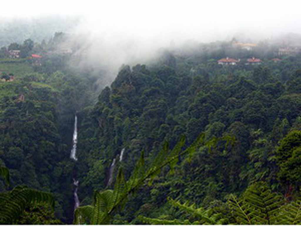 Holiday rentals Bogor