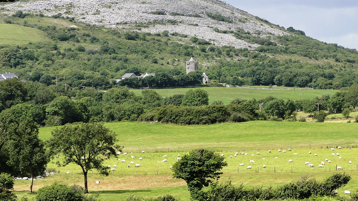 Holiday rentals Ballyvaughan