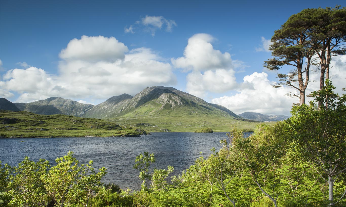 Holiday rentals Galway