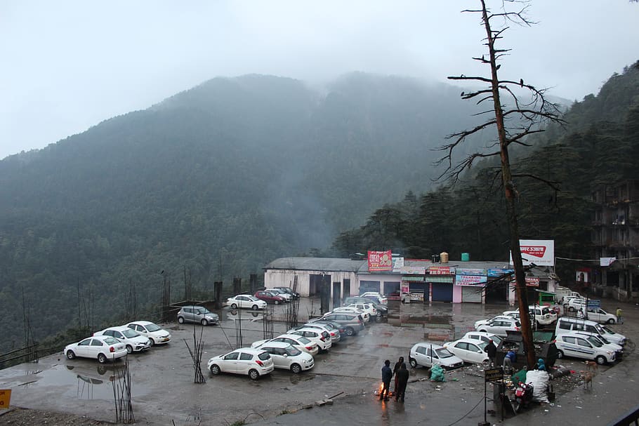 Hotels in McLeod Ganj