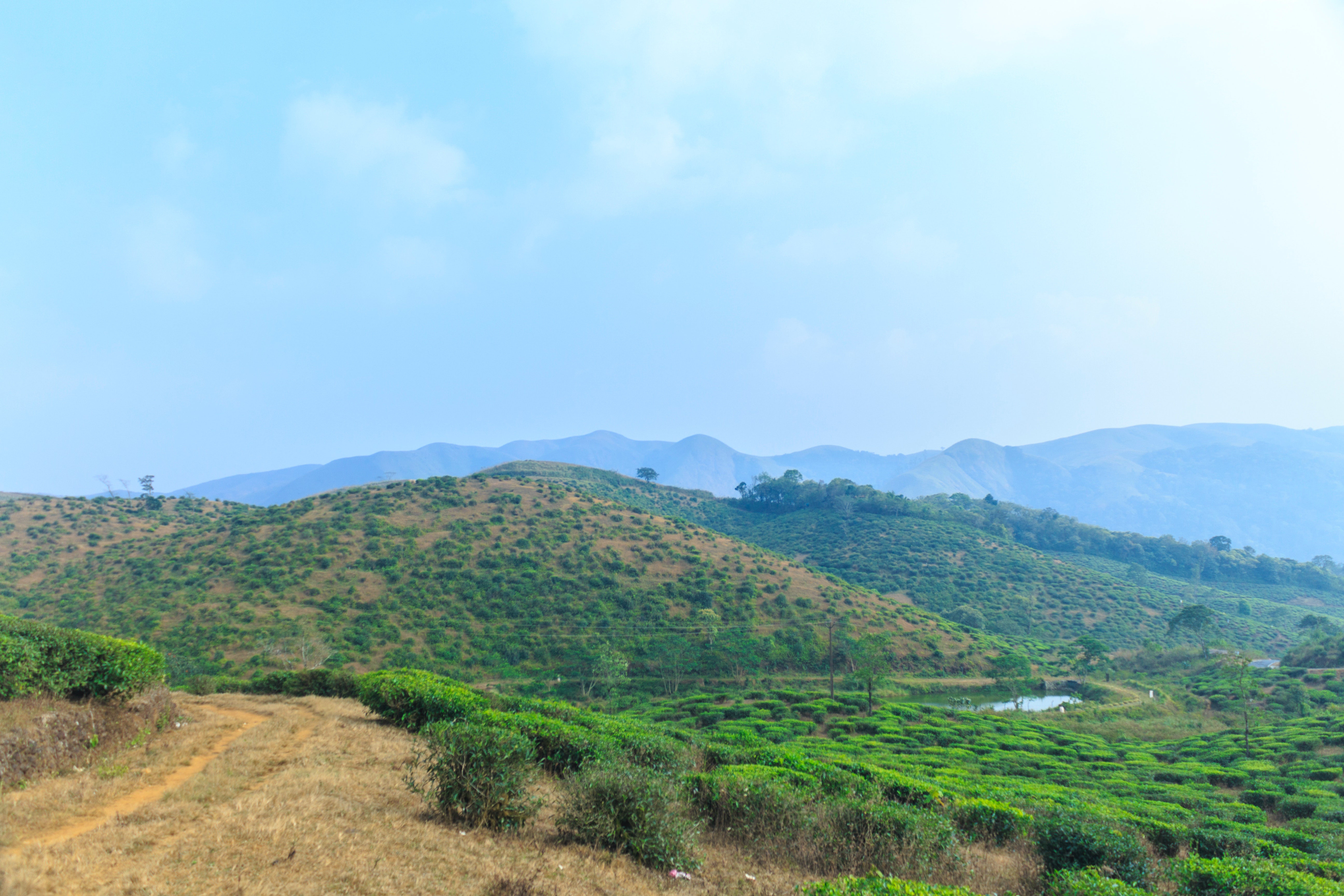 Holiday rentals Idukki