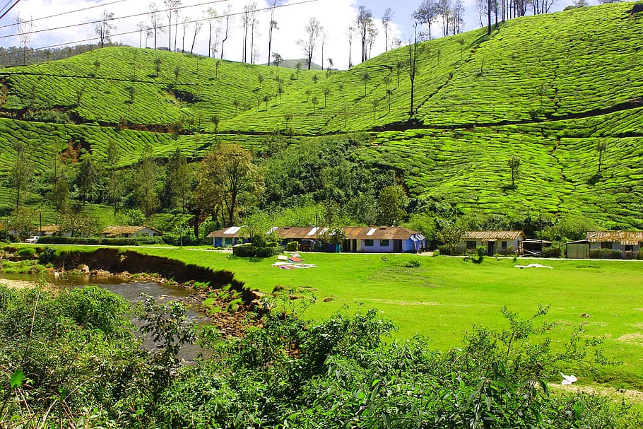 Holiday rentals Palakkad