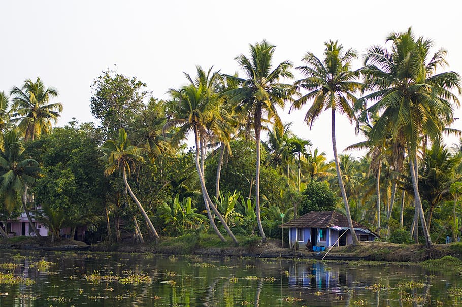 Holiday rentals Varkala