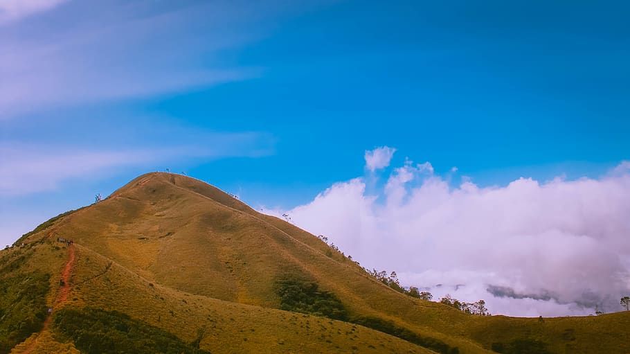 Holiday rentals Nedumbassery
