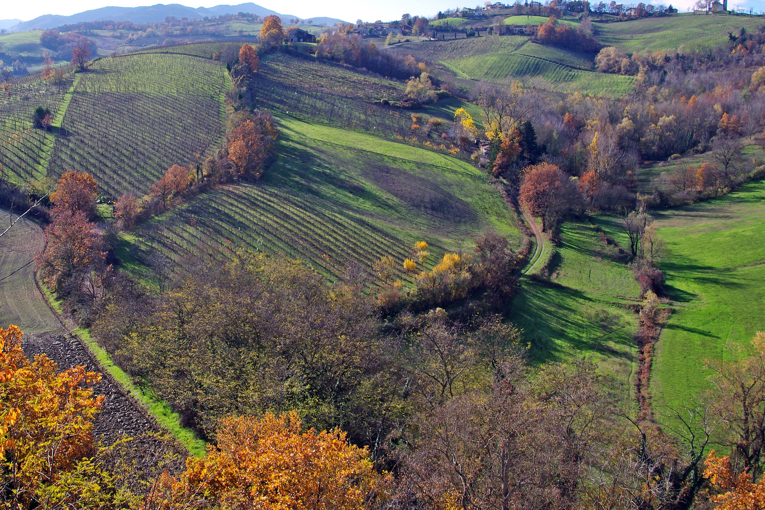 Case Vacanze San Nicola La Strada