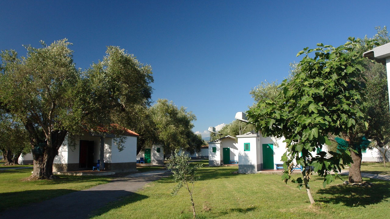 Case Vacanze Ascea