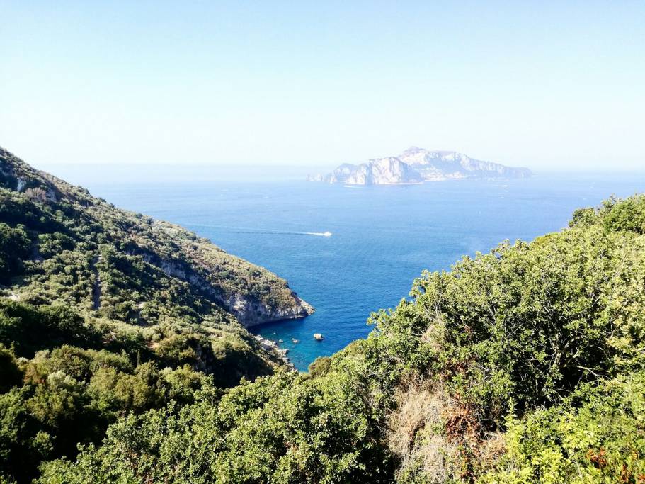 Case Vacanze Termini