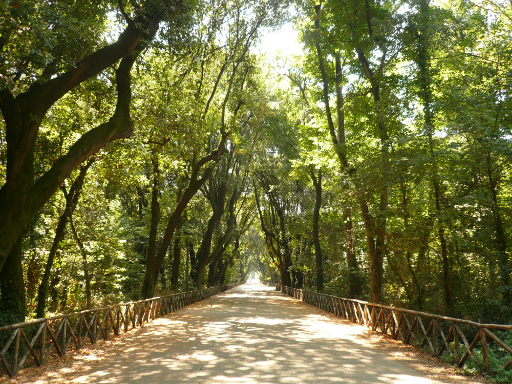 Holiday rentals Virgiliano Park