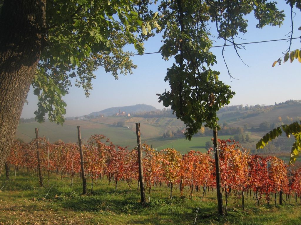 Case Vacanze Savignano sul Panaro
