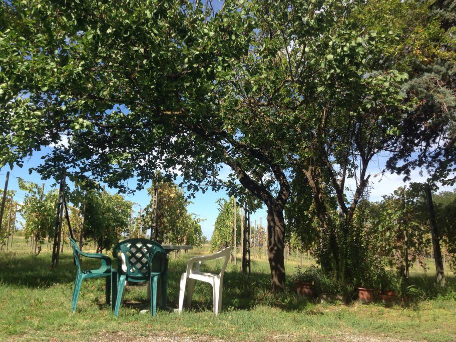 Case Vacanze San Damiano