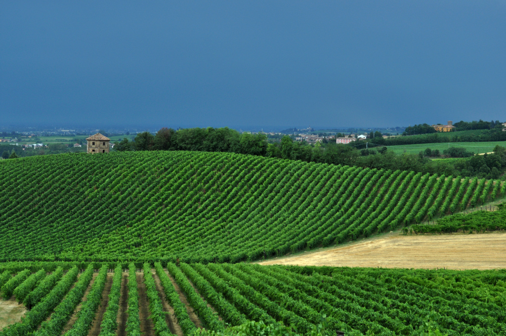 Case Vacanze Rivanazzano Terme