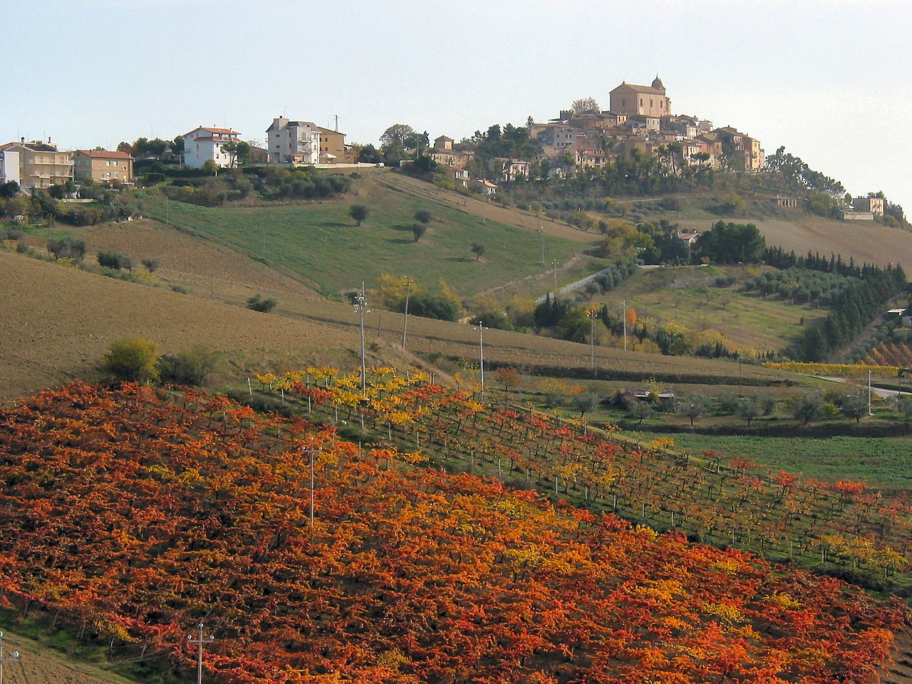 Holiday rentals Monteprandone