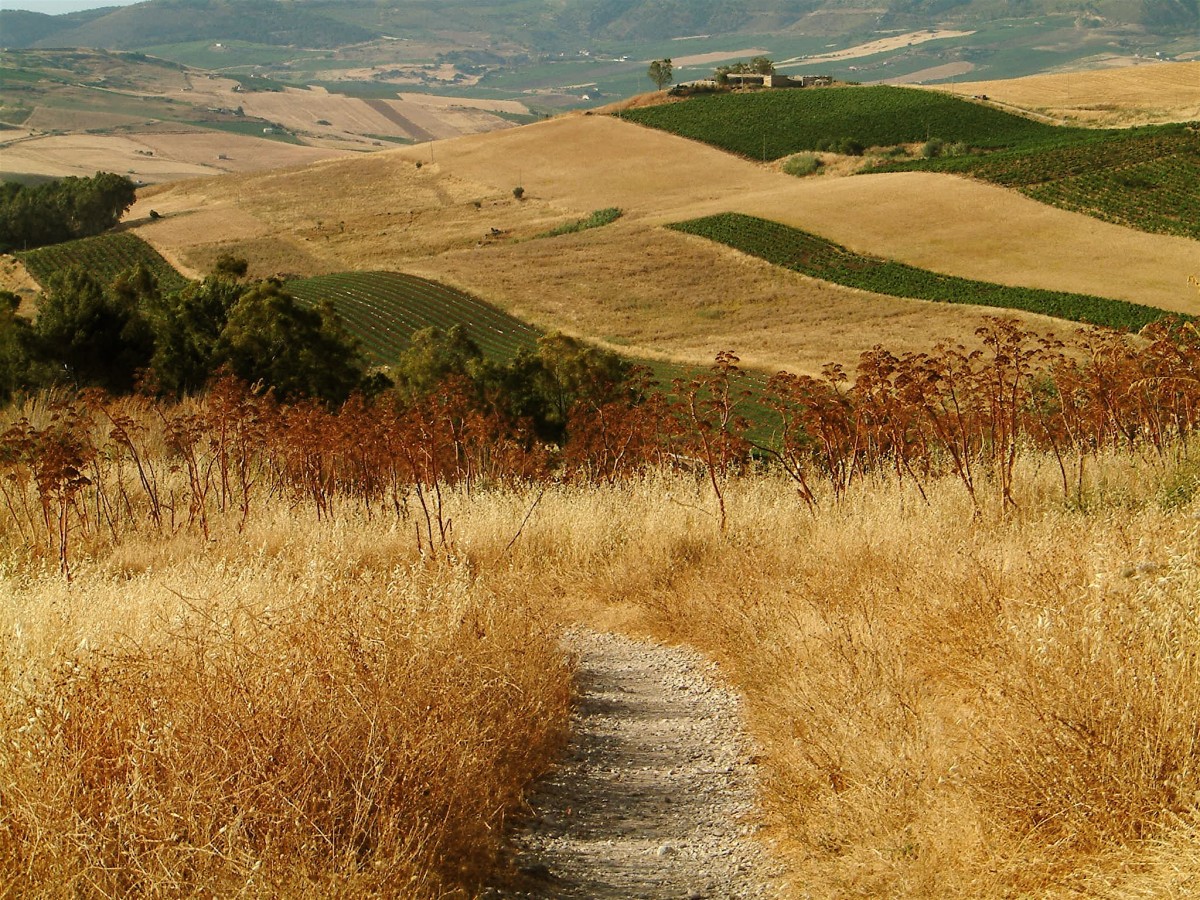 Case Vacanze Grammichele