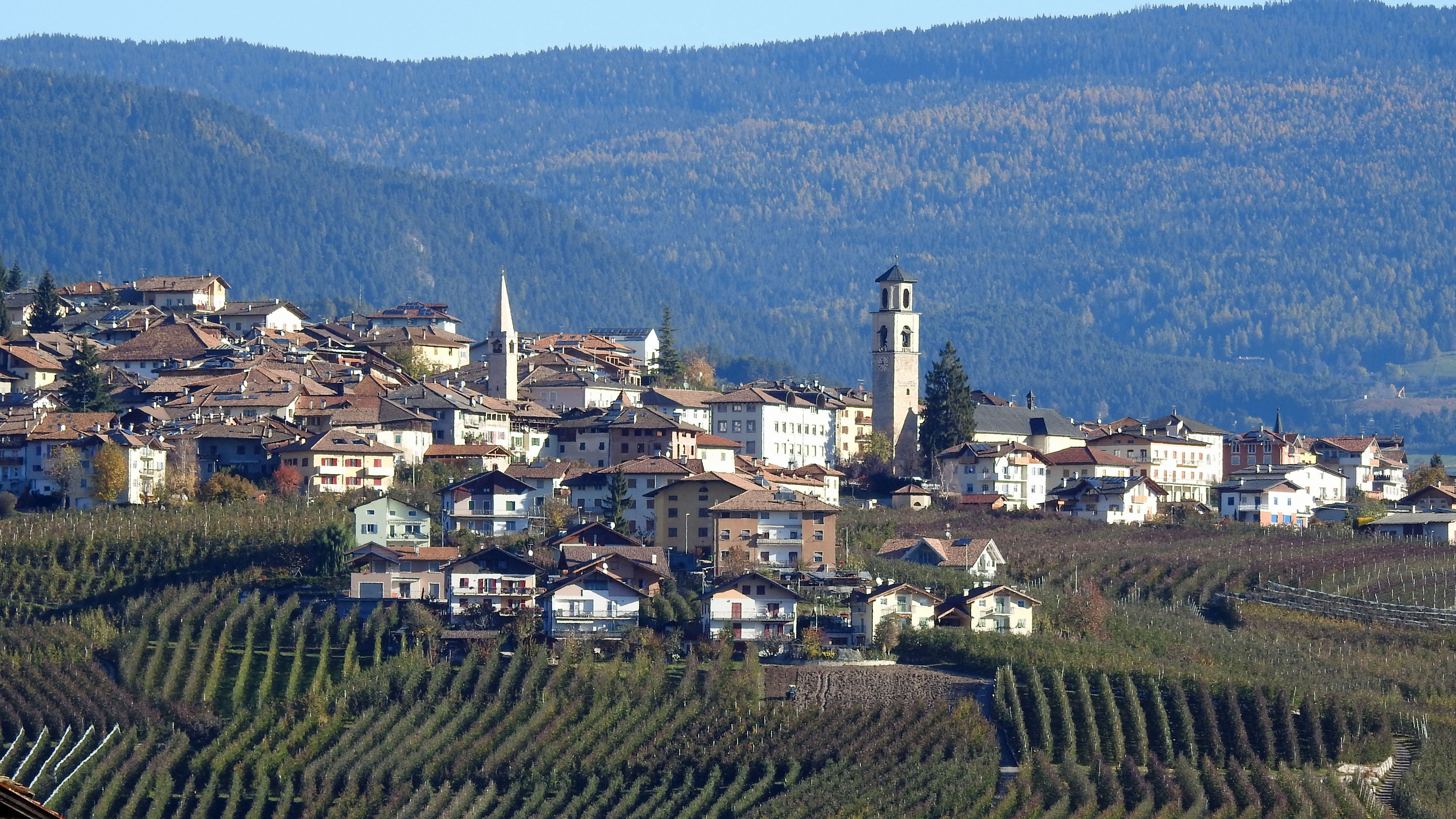 Case Vacanze Revò