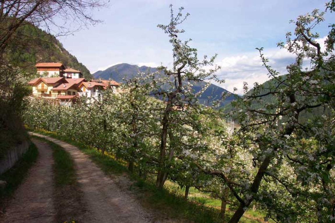 Case Vacanze Caldes