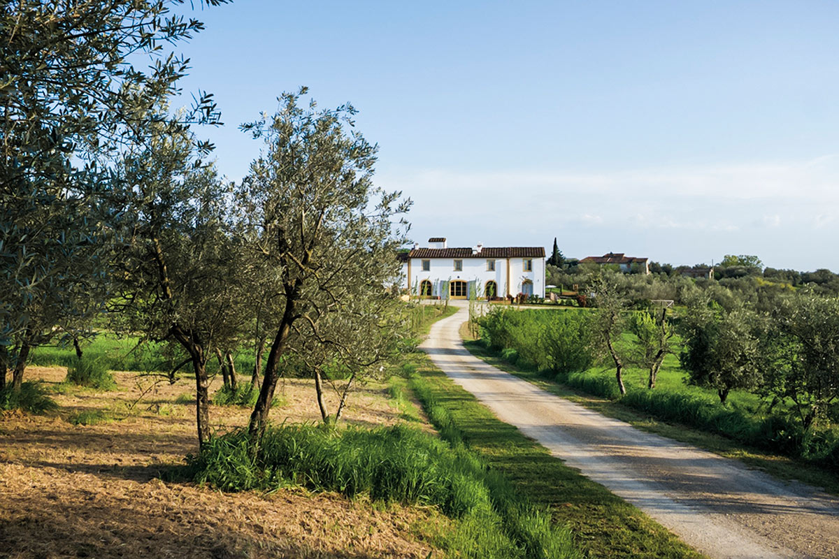 Case Vacanze Oliveto
