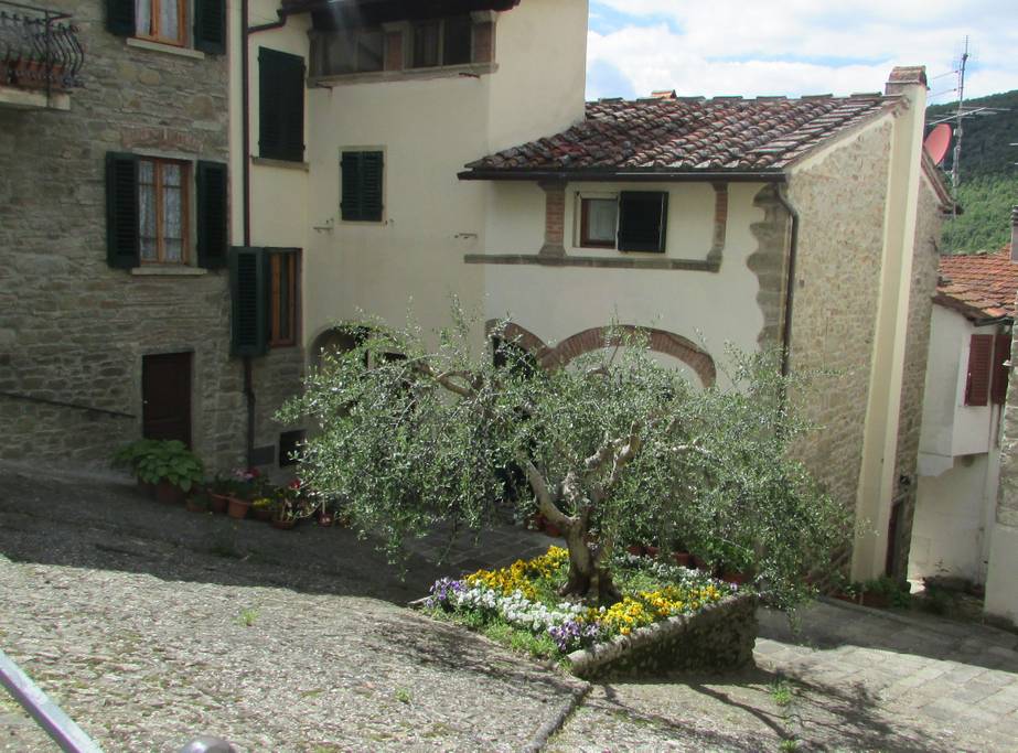 Case Vacanze Tosi