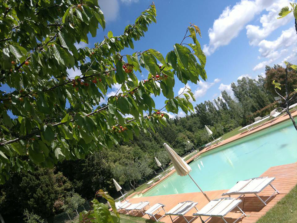 Case Vacanze Castagno