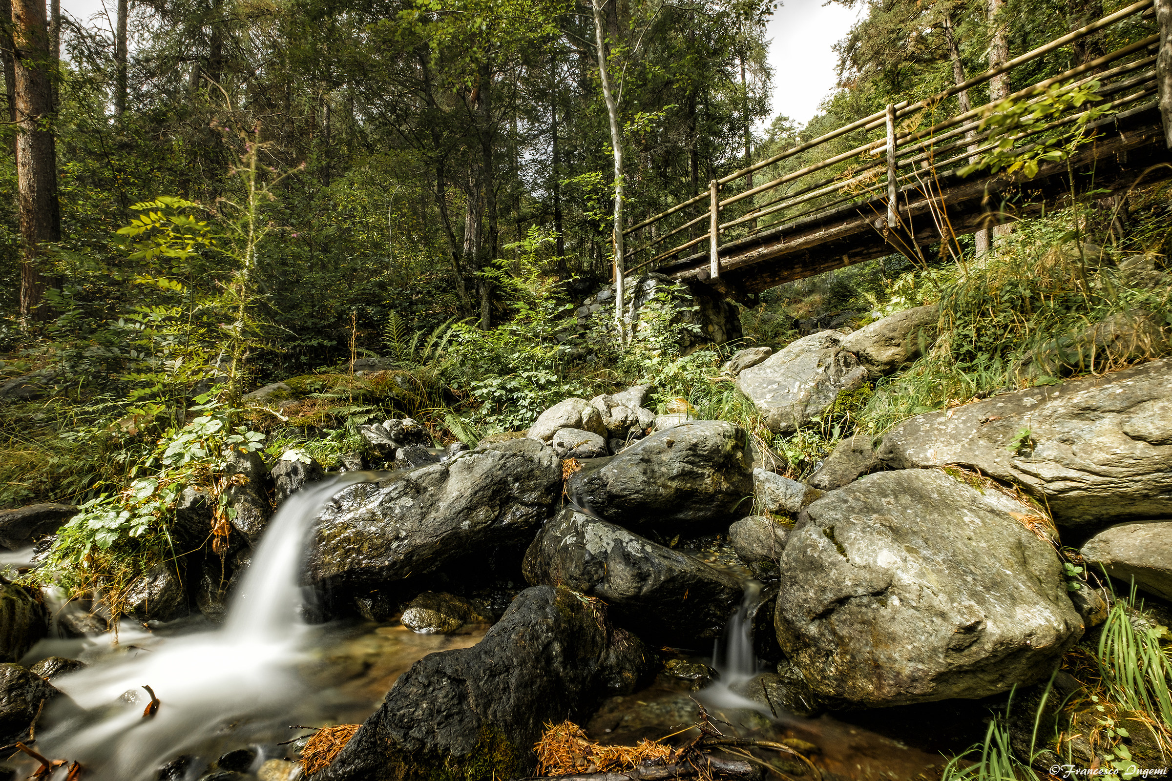 Case Vacanze Champdepraz