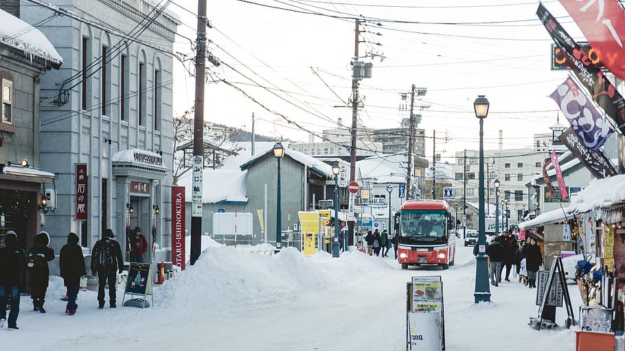 Hotels in Utoro