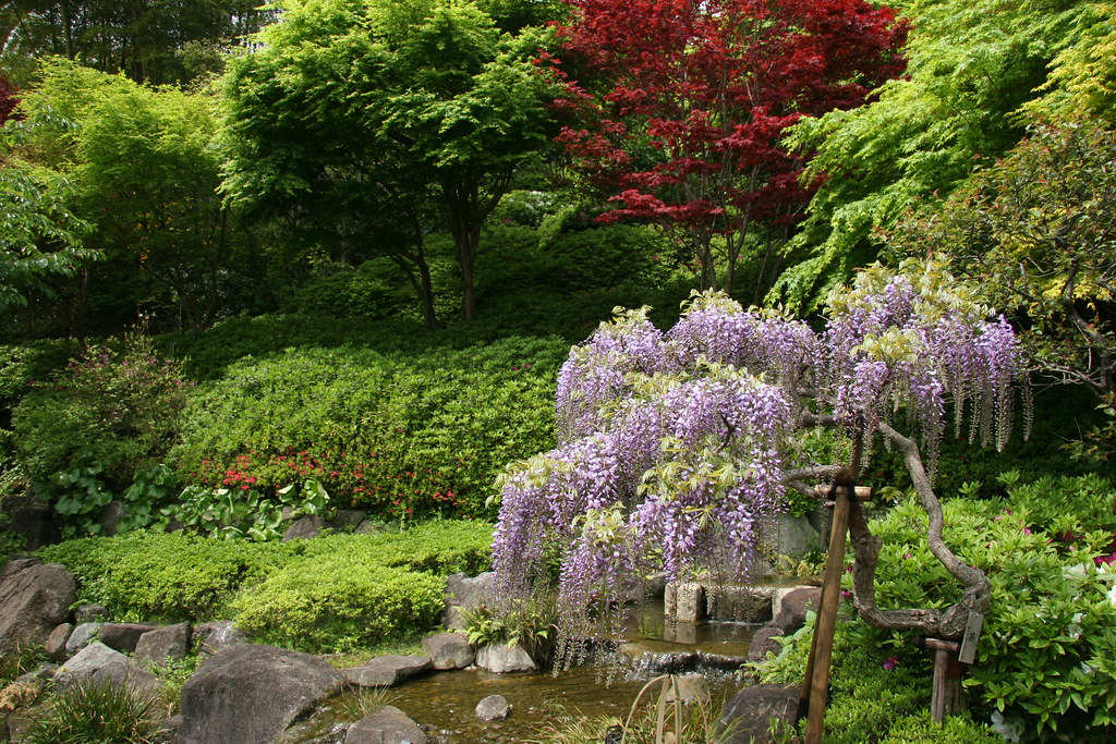 Holiday rentals Hasedera Temple