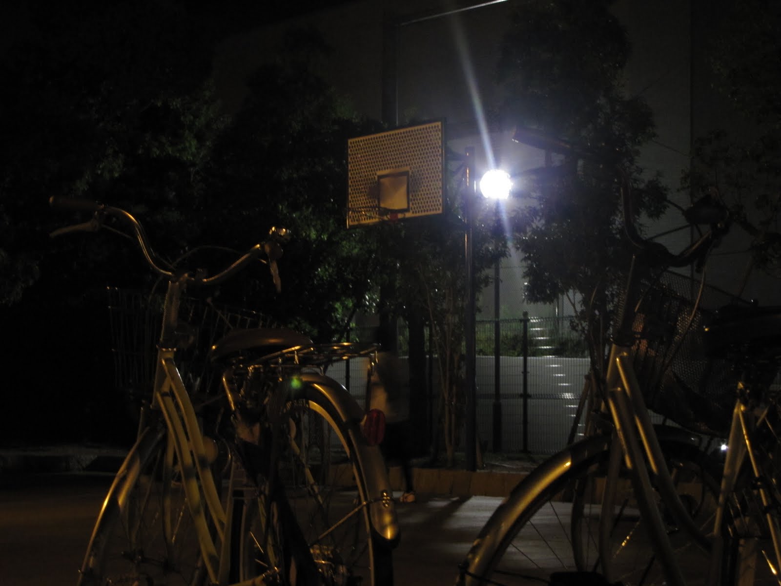 Holiday rentals Hirakata Park