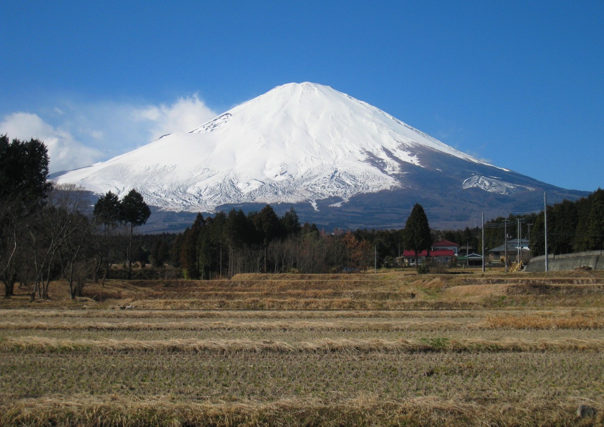 Holiday rentals Fuji