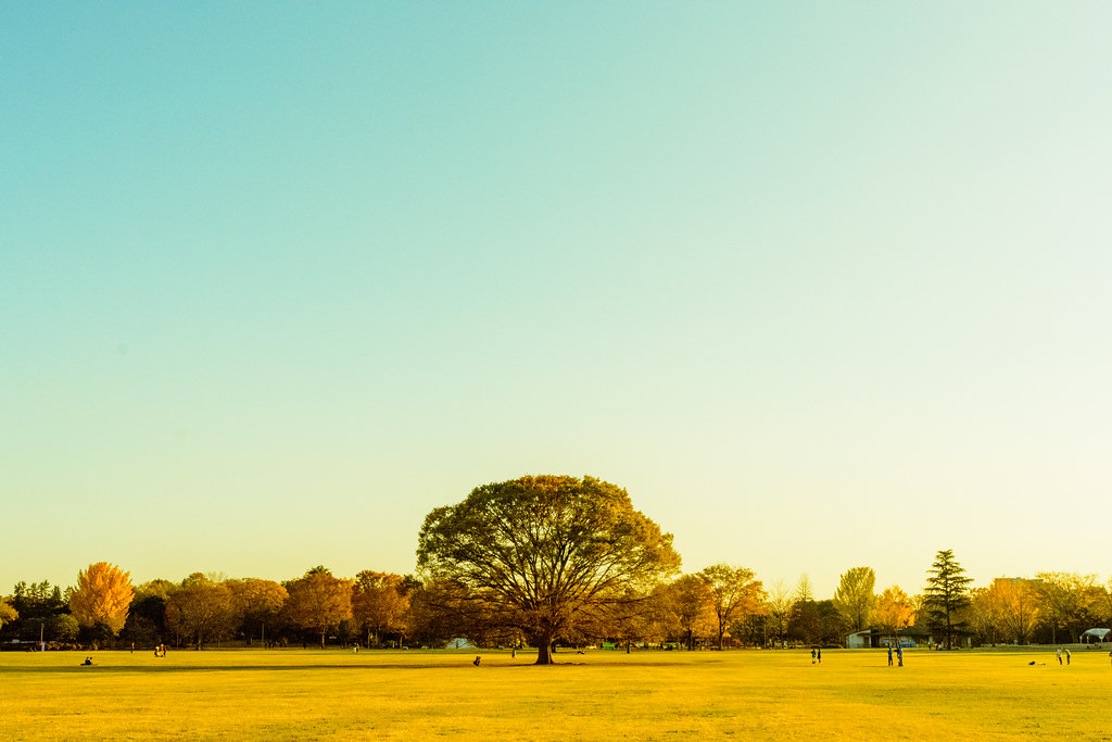 Holiday rentals Showa Kinen Park