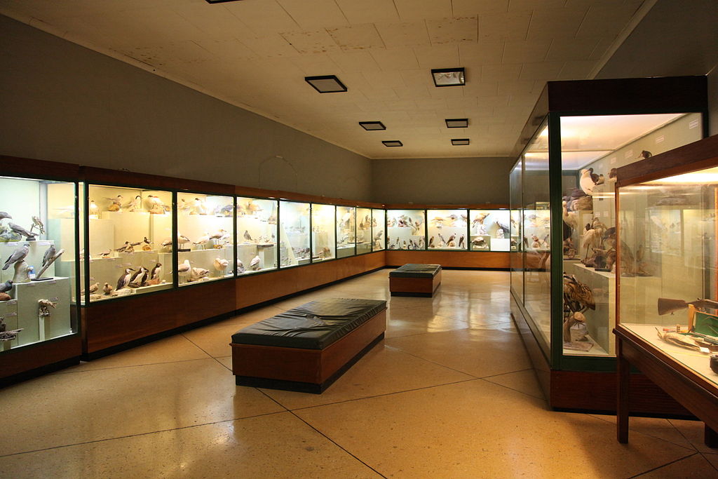 Holiday rentals Museum of Natural History