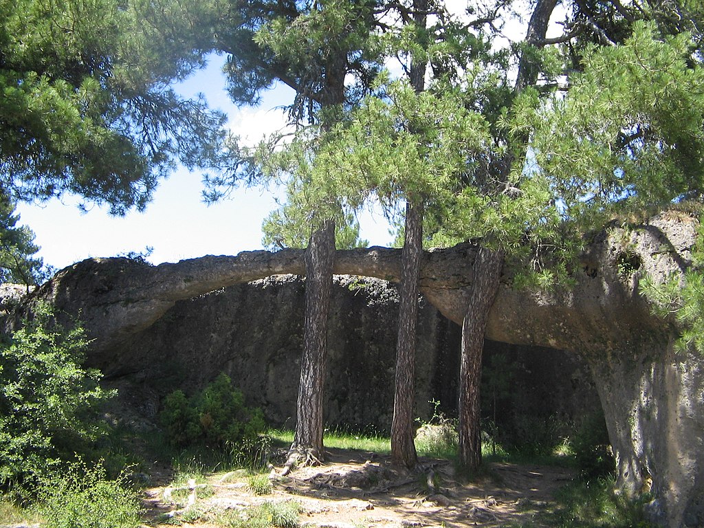 Ferienwohnungen La Encantada