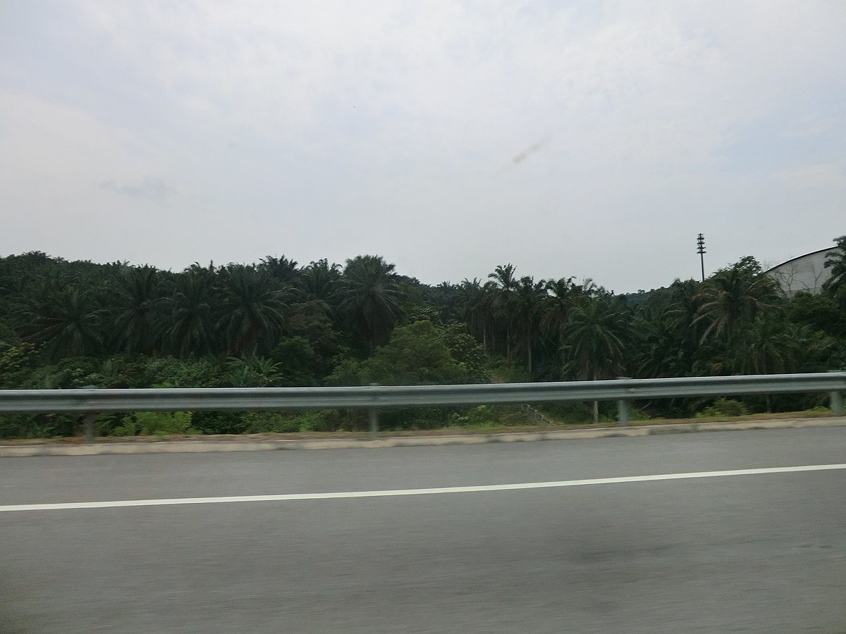 Hotels in Seri Kembangan