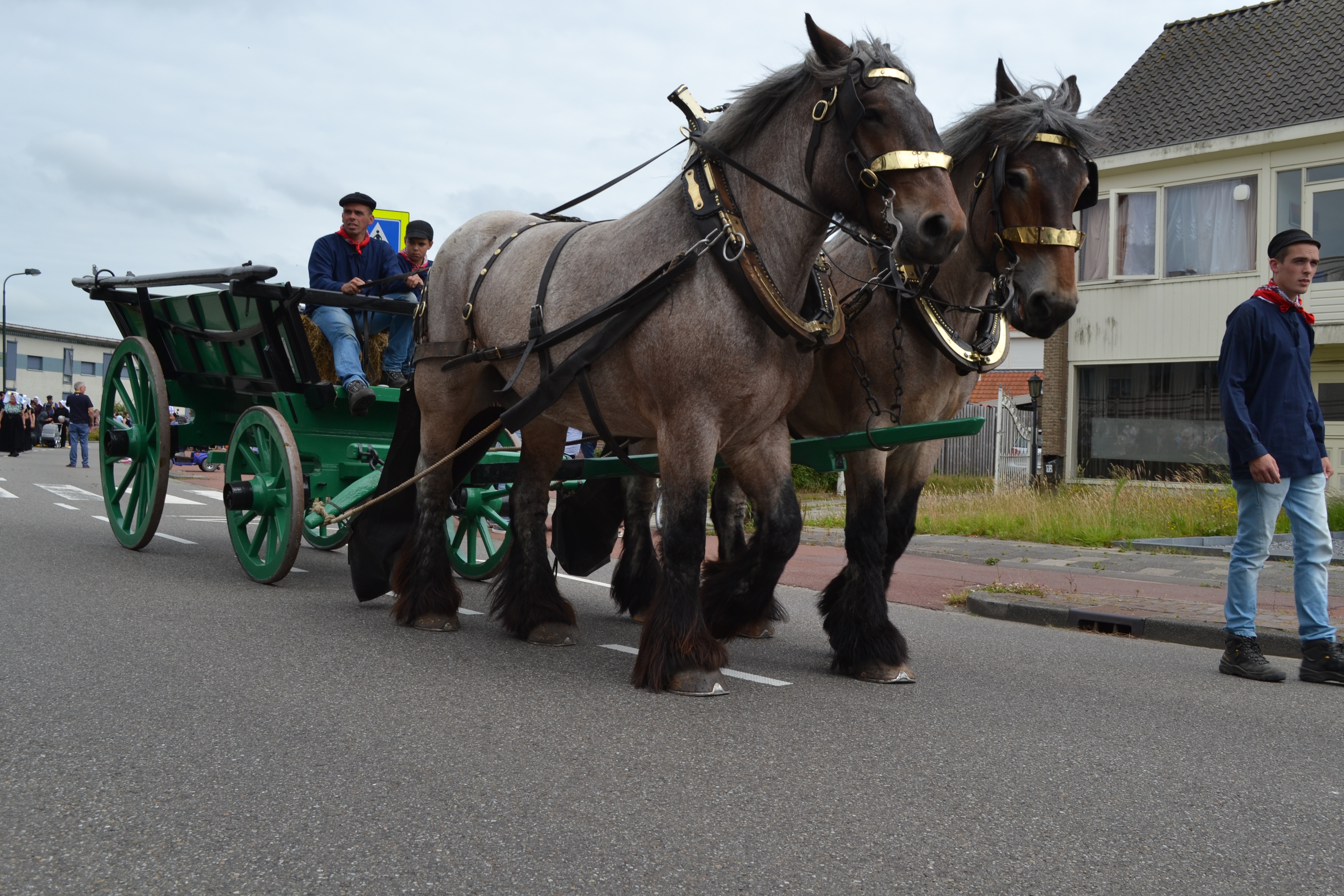 Case Vacanze Tholen