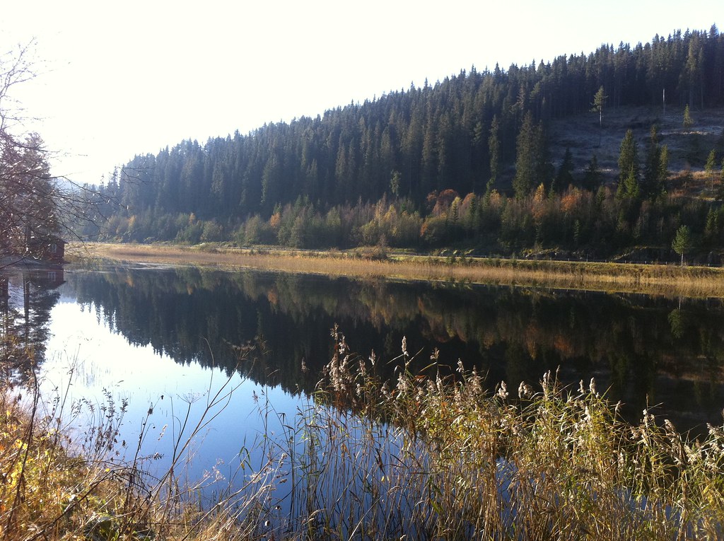 Holiday rentals Morgedal