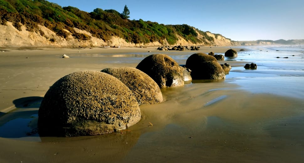 Holiday rentals Moeraki