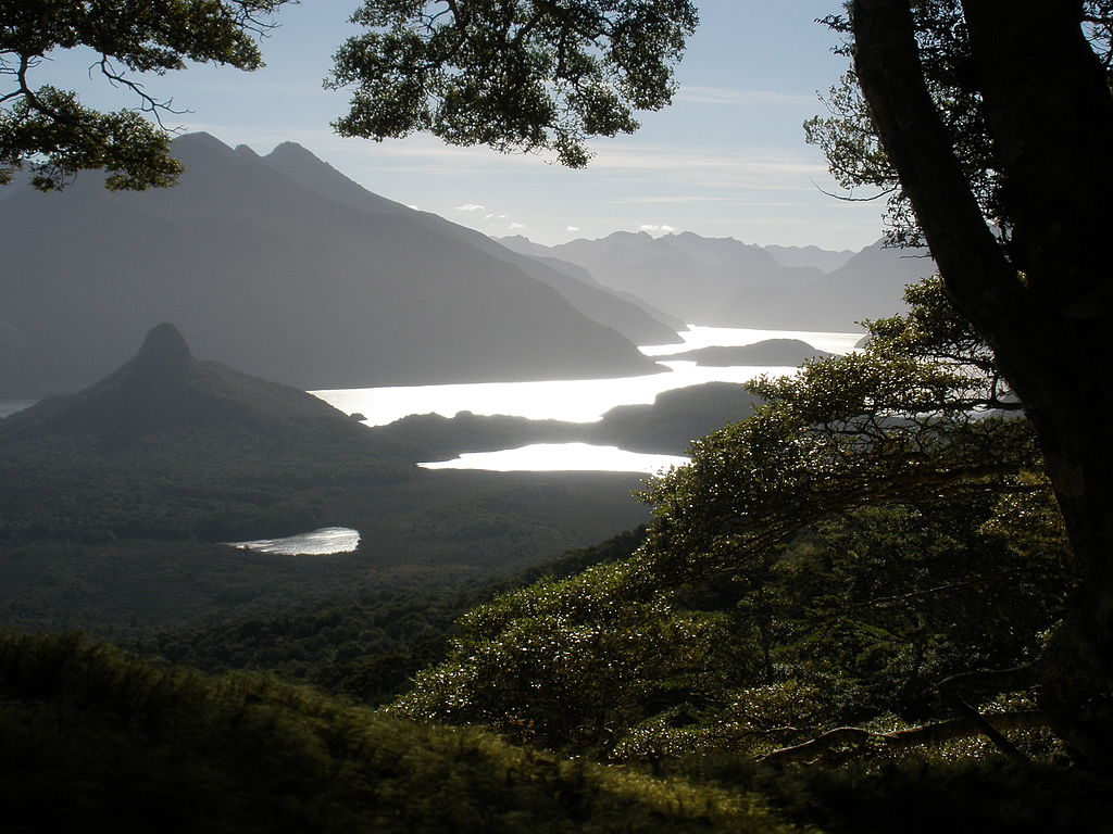 Holiday rentals Manapouri