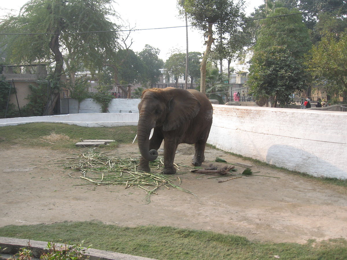 Hotel a Lahore Zoo