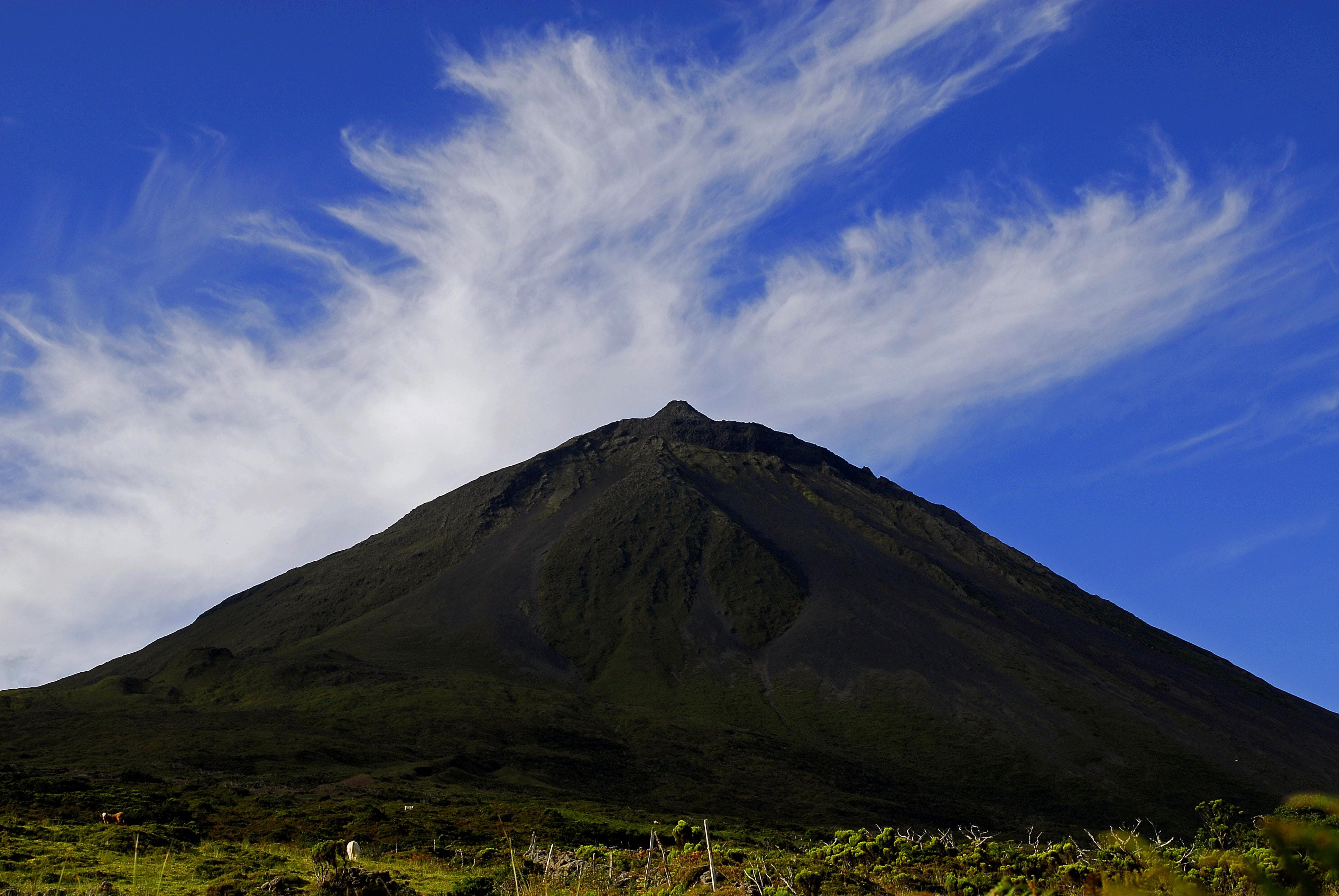 Holiday rentals Pico island