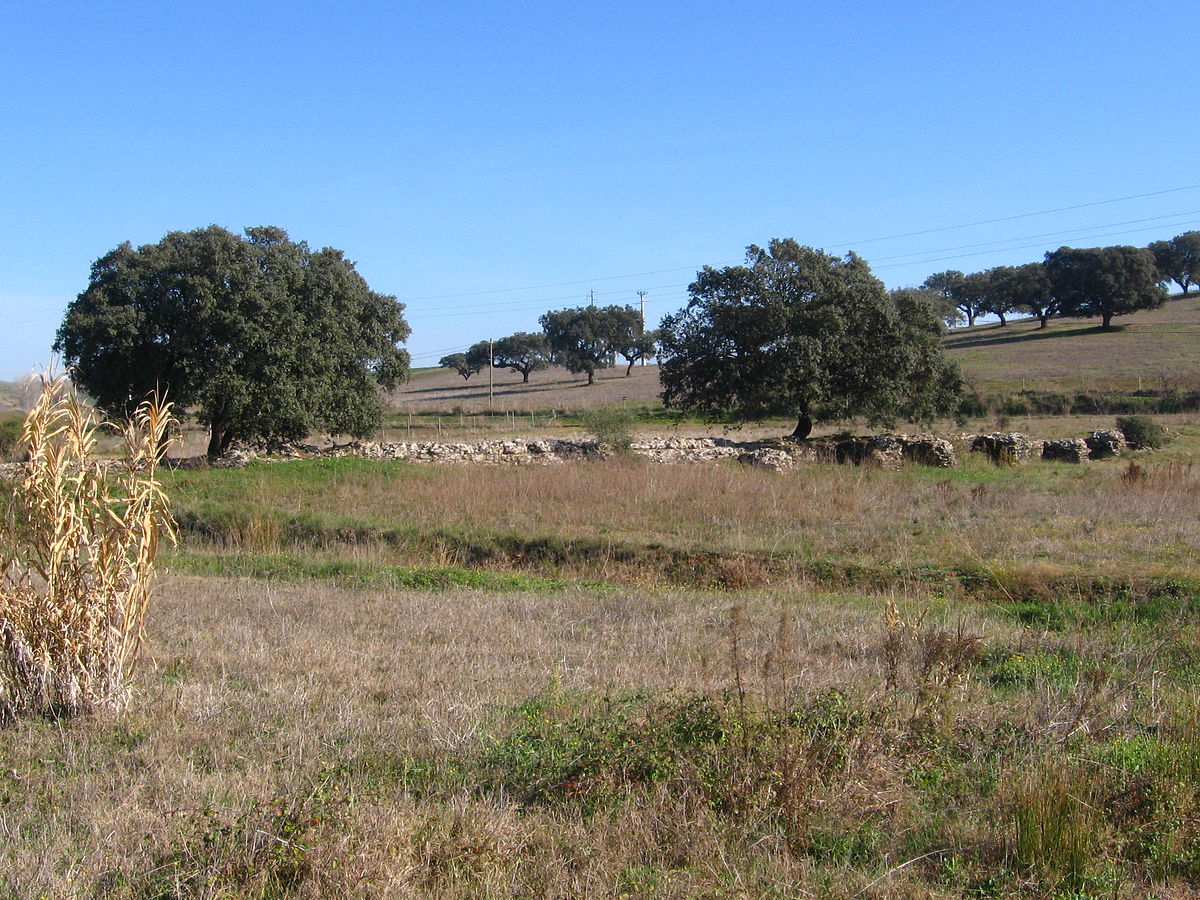 Hotel in Campo Maior