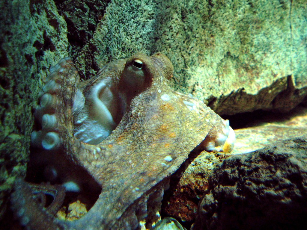 Holiday rentals Universeum