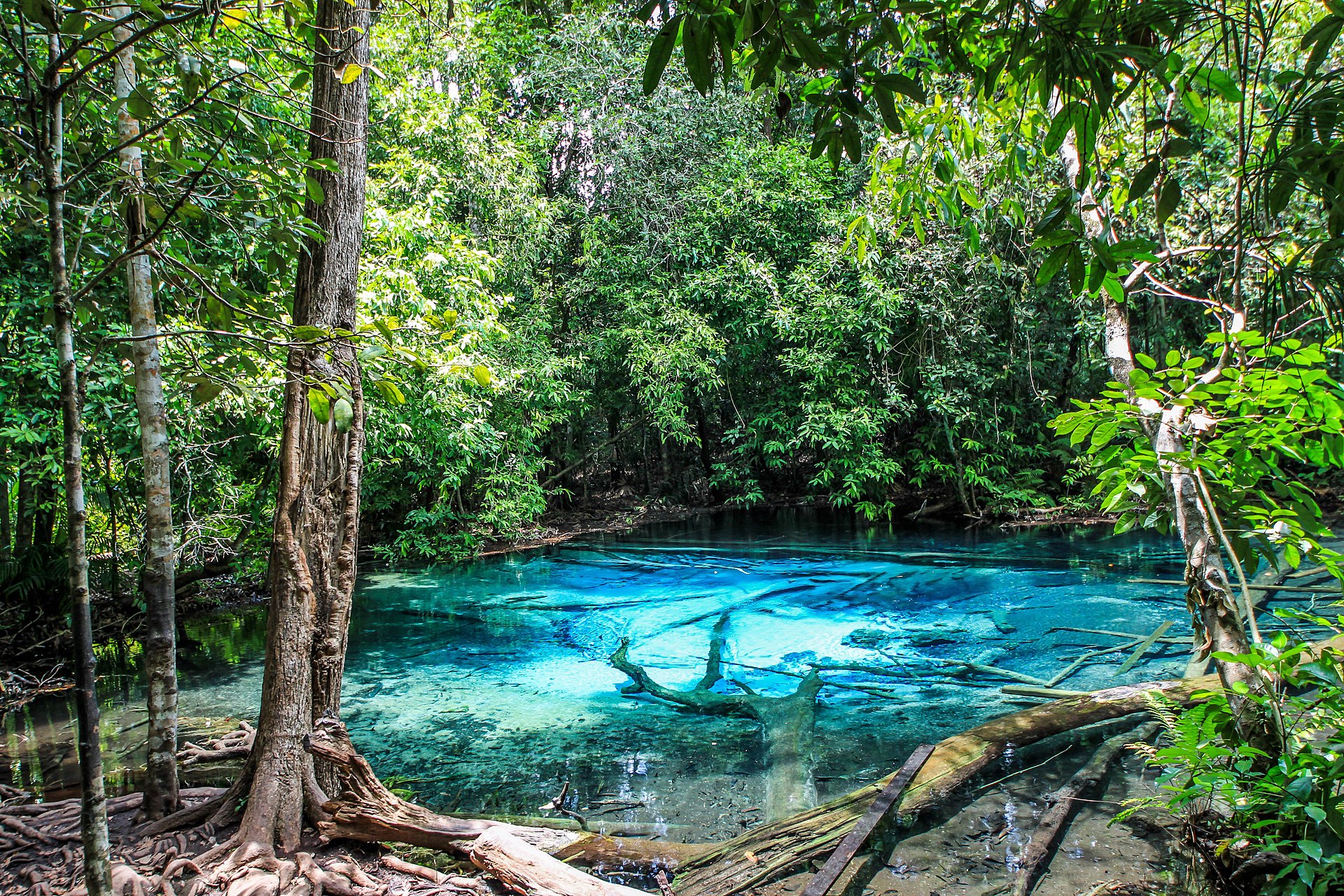 Ferienwohnungen Phanom Bencha National Park