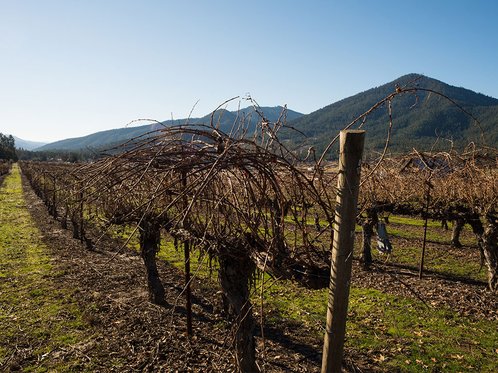 Hotels in Colosseum at Caesars Palace
