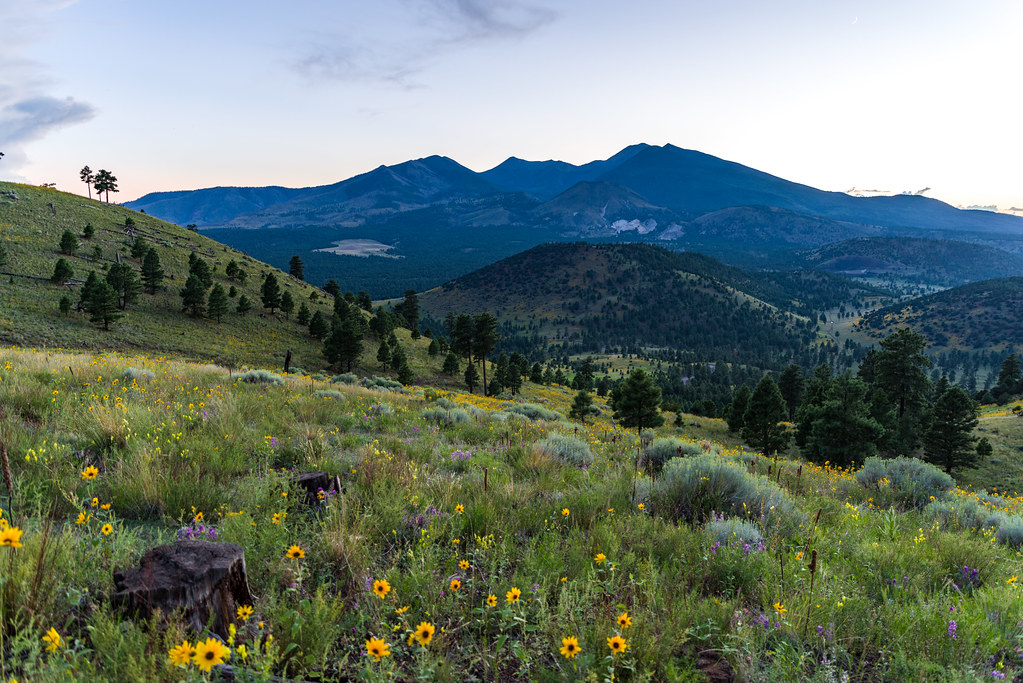 Hotels in East Flagstaff