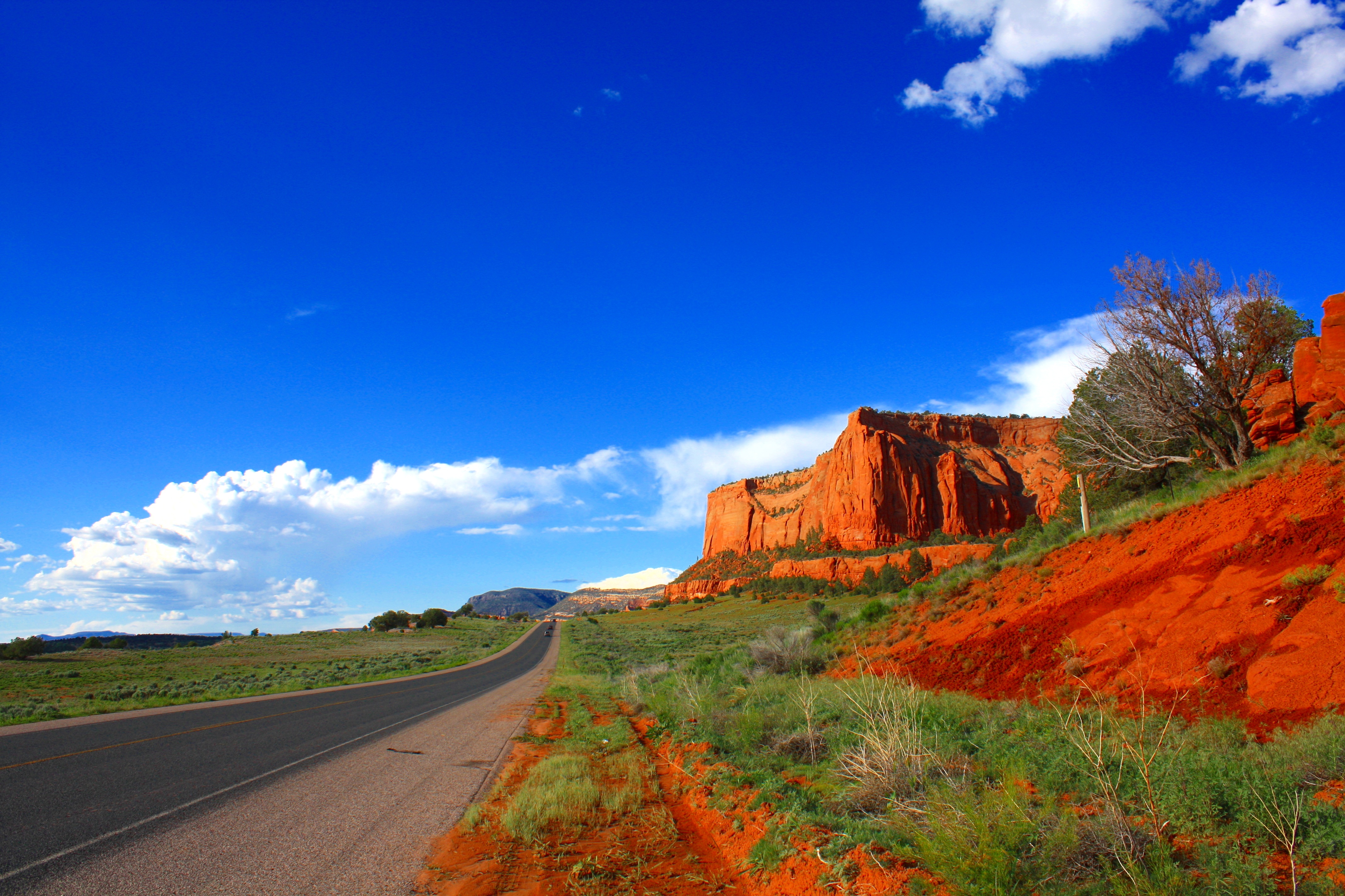 Holiday rentals Avondale
