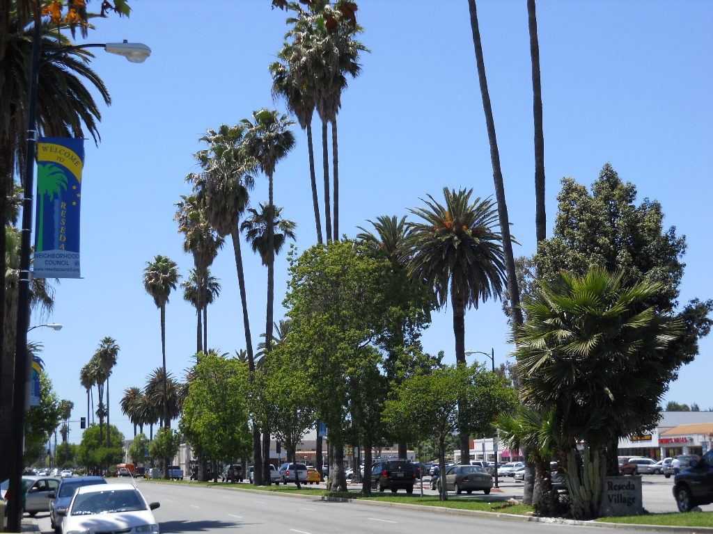 Casas de Férias Reseda
