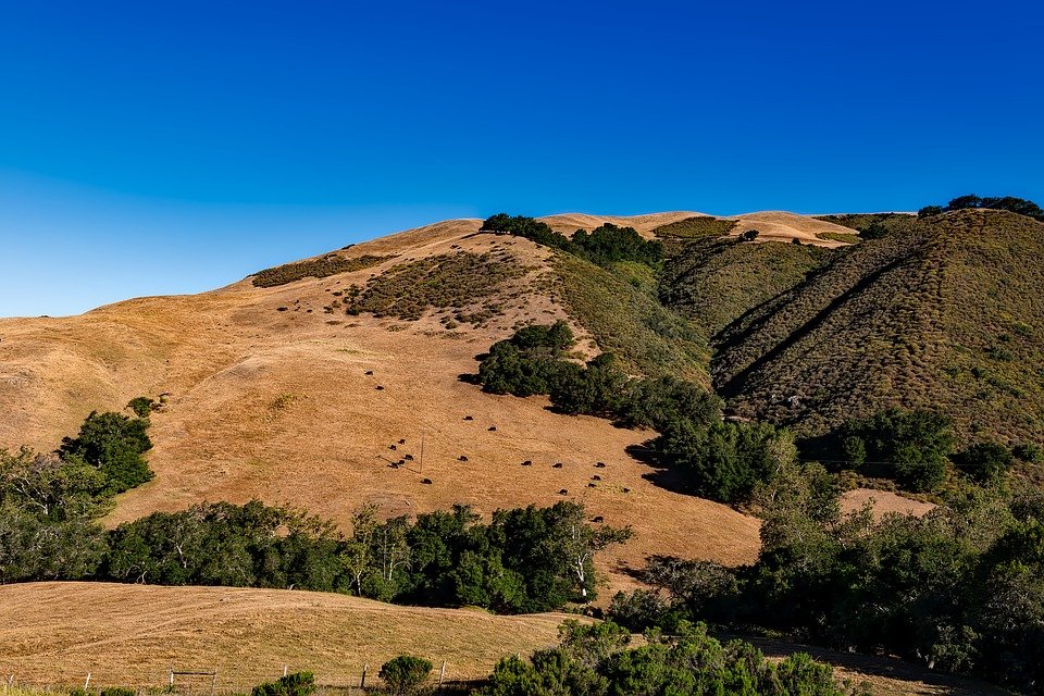 Case Vacanze North Hills