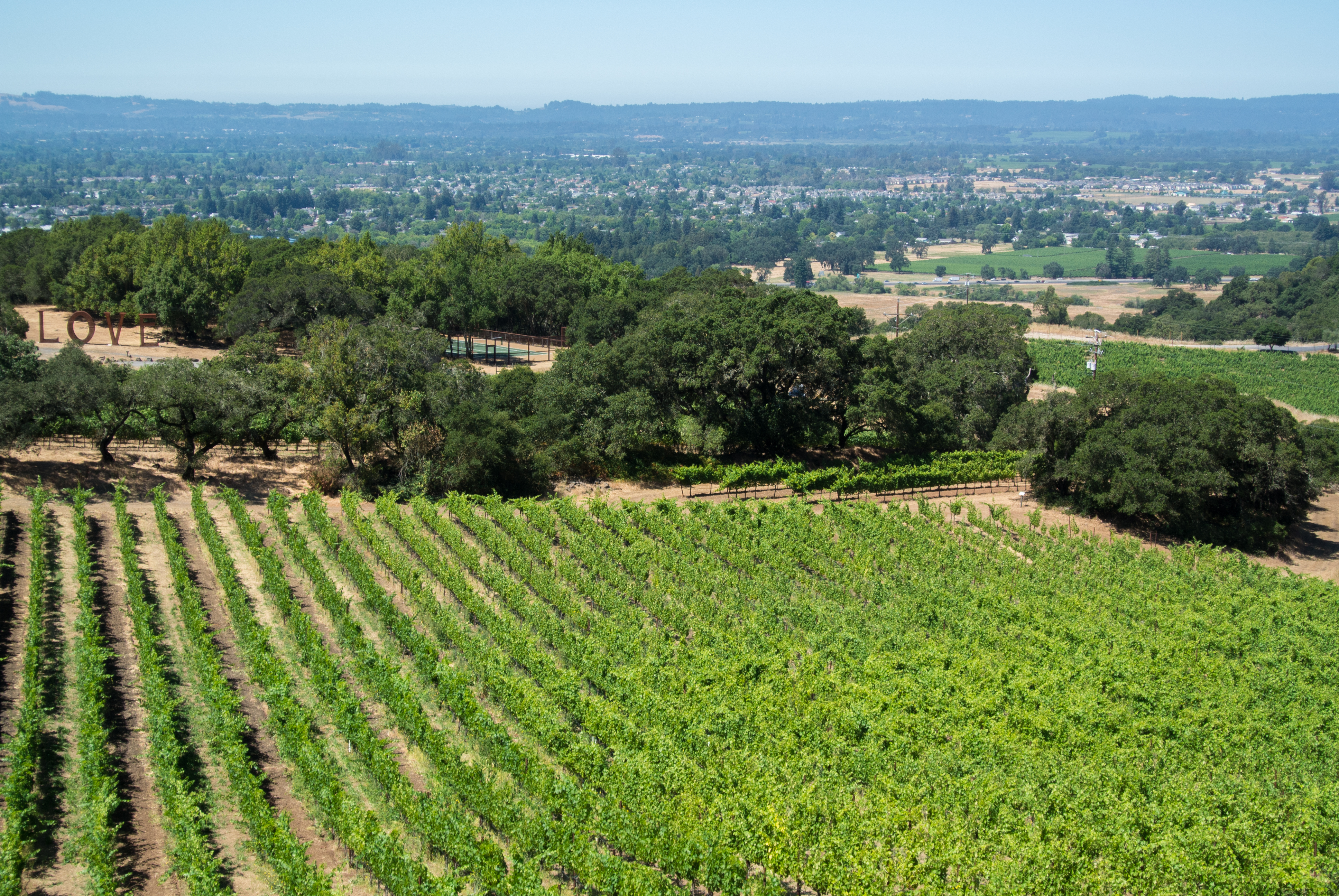 Hotels in Santa Rosa