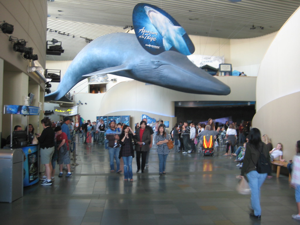 Case Vacanze Aquarium of the Pacific