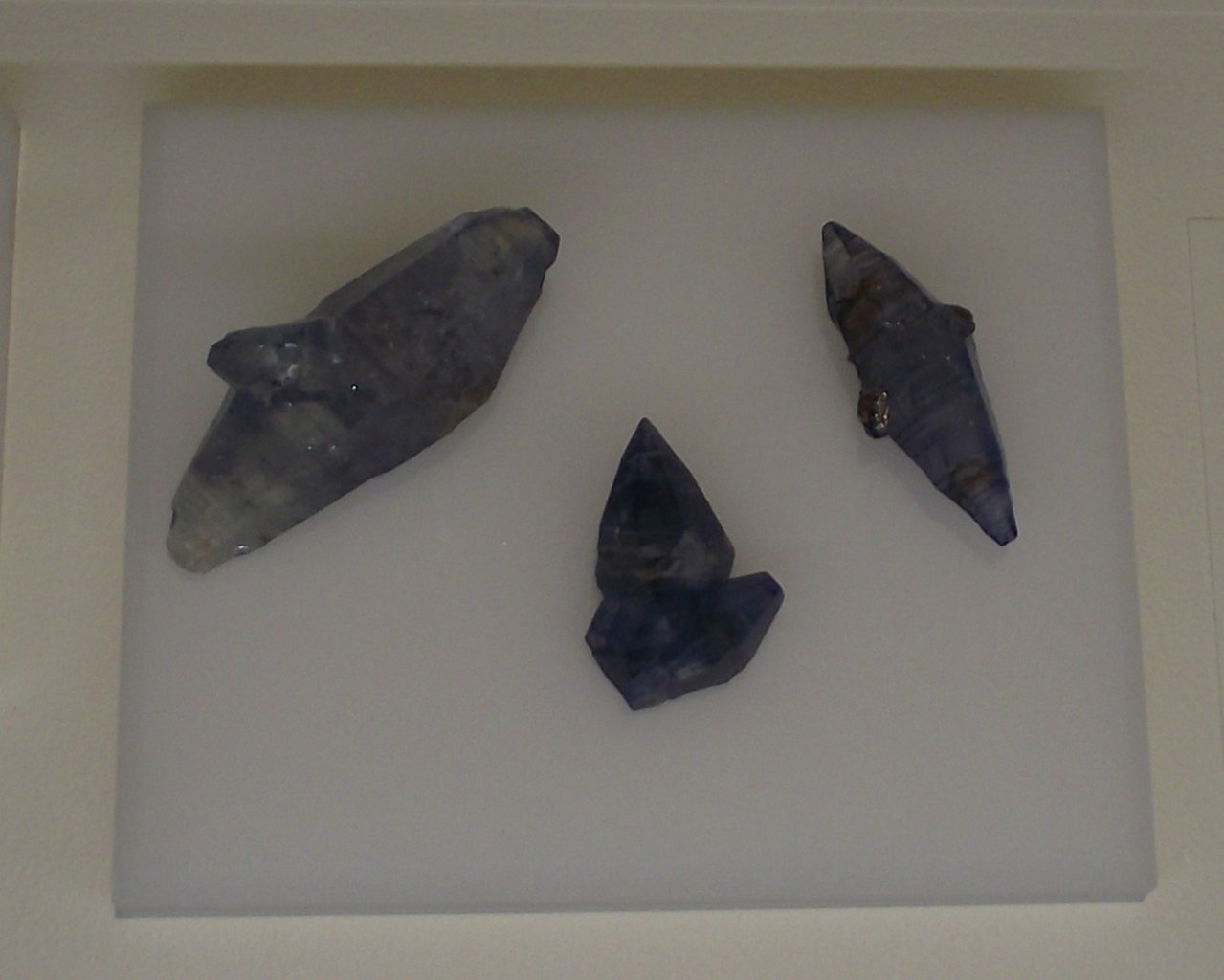 Casas de Férias Natural History Museum
