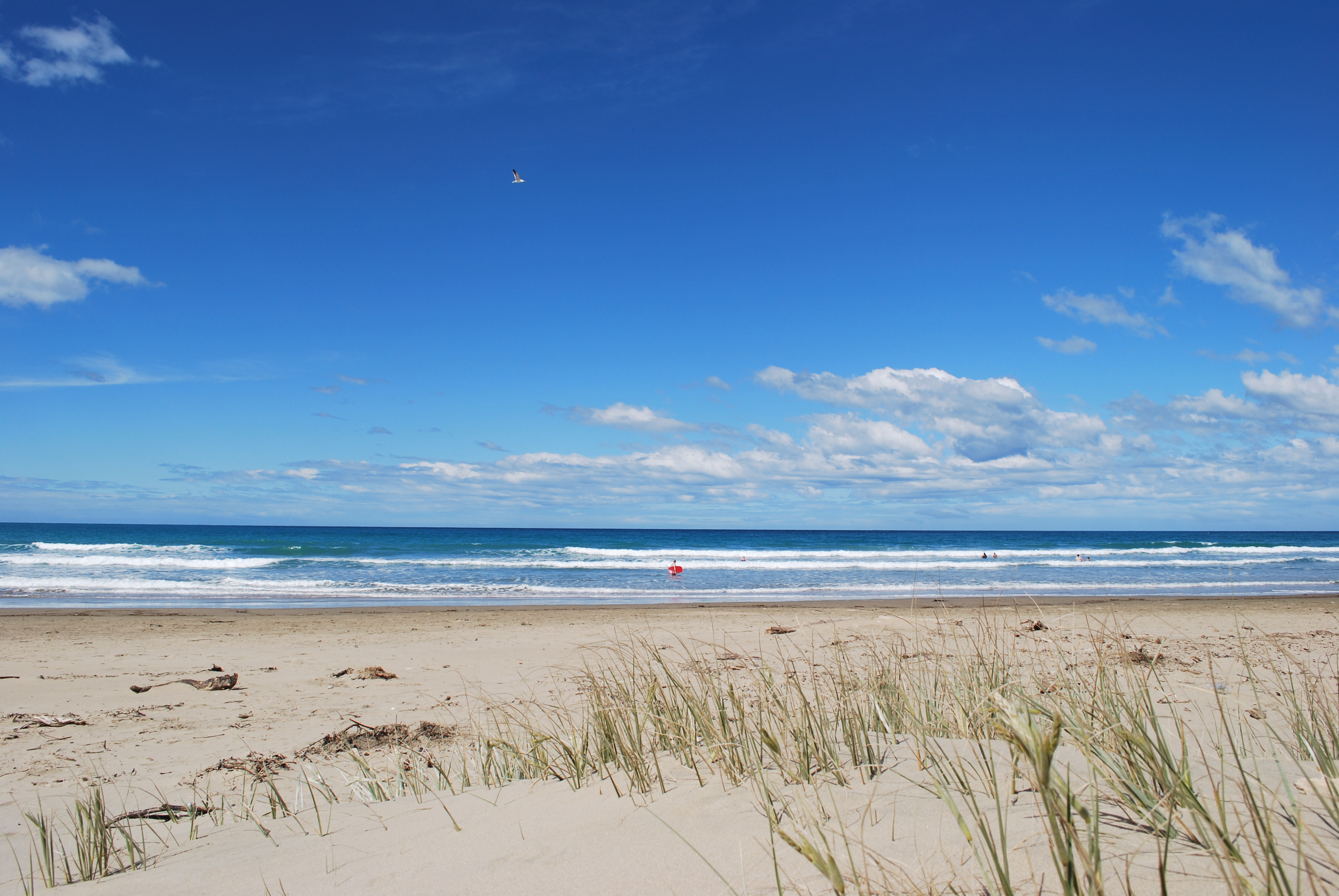 Hotels in Ocean Beach