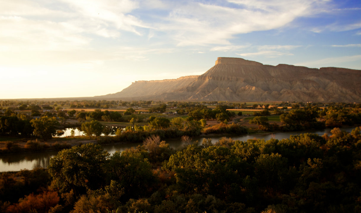 Holiday rentals Palisade
